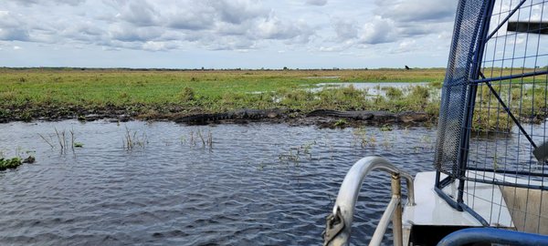 Lone Cabbage Fish Camp by null