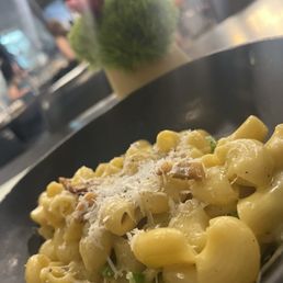 Rigatoni Carbonara