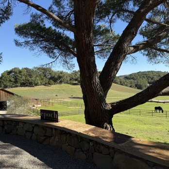 Epoch Estate Wines - Wine Tasting Room Near Me - Templeton, California Epoch Estate Wines - Wine Tasting Room Near Me - Templeton, California