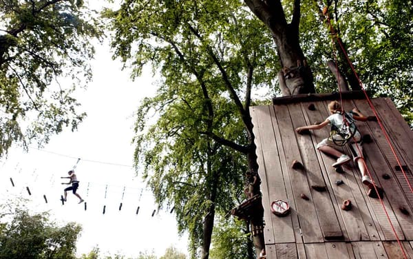 Waldhochseilgarten Jungfernheide by null