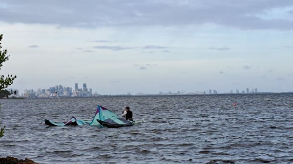 Matheson Hammock Park & Marina by null