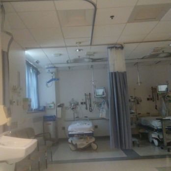 Veterans Admin Hosp Bklyn - Veterinarians Near Me - Brooklyn, New York Veterans Admin Hosp Bklyn - Veterinarians Near Me - Brooklyn, New York