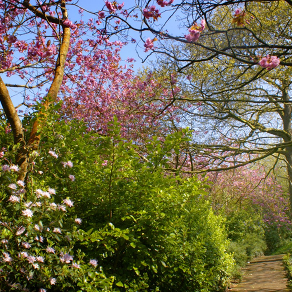 Jersey Park - Jersey Park, Briton Ferry, Neath - Parks Near Me - Neath, NTL