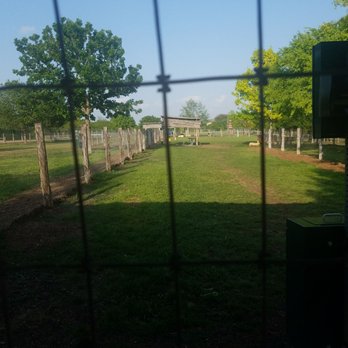 Round Rock Dog Depot - Pet Services Near Me - Round Rock, Texas
