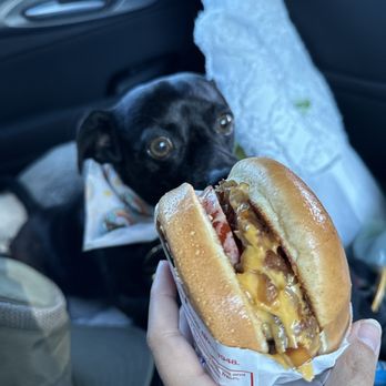 In-N-Out Burger - Cheeseburger with grilled onions (don't worry, Darby got his puppy patty too)! - Burgers Near Me - Phoenix, Arizona