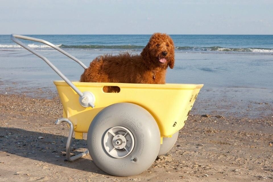 EMERALD ISLE BEACH GEAR & LINEN Updated August 2024 9106 B Coast