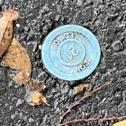 R and F House Busters