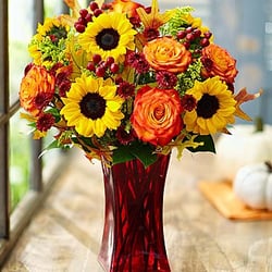Matkins Flowers & Greenhouse