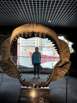 National Aquarium by null