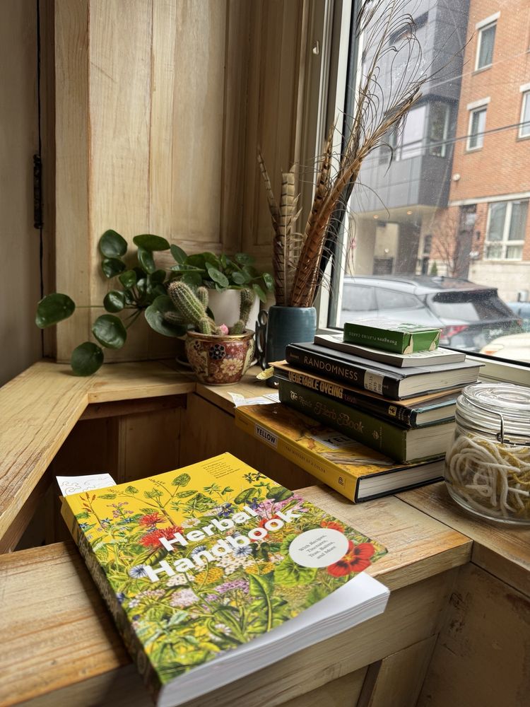 The Random Tea Room & Curiosity Shop