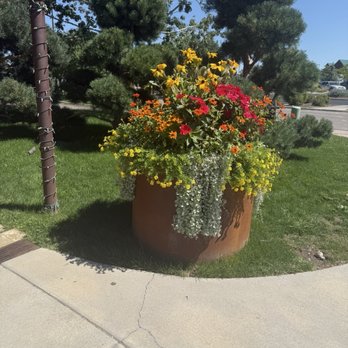 Sierra - American Near Me - Lone Tree, Colorado