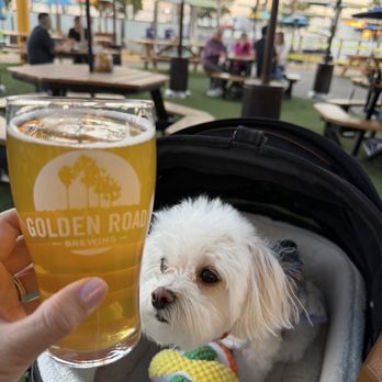 Golden Road Brewing - So dog friendly - New American Near Me - Anaheim, California Golden Road Brewing - So dog friendly - New American Near Me - Anaheim, California