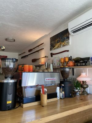 Cicada by null Cicada by null