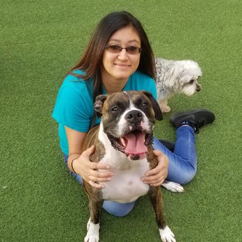 Fritz Kennel - Pet Sitting Near Me - Houston, Texas