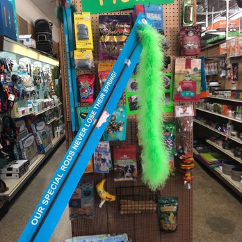 Fins, Furs N Feathers - Amazing 36'' of Fun for my lil boy!!! - Pet Stores Near Me - Boca Raton, Florida Fins, Furs N Feathers - Amazing 36'' of Fun for my lil boy!!! - Pet Stores Near Me - Boca Raton, Florida