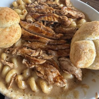 Caribbean Jack's - chicken jerk pasta - Caribbean Near Me - Daytona Beach, Florida Caribbean Jack's - chicken jerk pasta - Caribbean Near Me - Daytona Beach, Florida