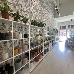 Interior Interior