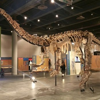 香港科學館 - Beautiful dinosaur bones - Museums Near Me - Hong Kong, HK
