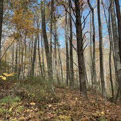Peters Mill Run
