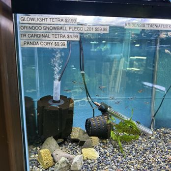 Aqua Nature Aquarium - Local Fish Stores Near Me - Bakersfield, California