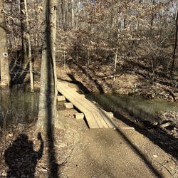 RibbonWalk Nature Preserve