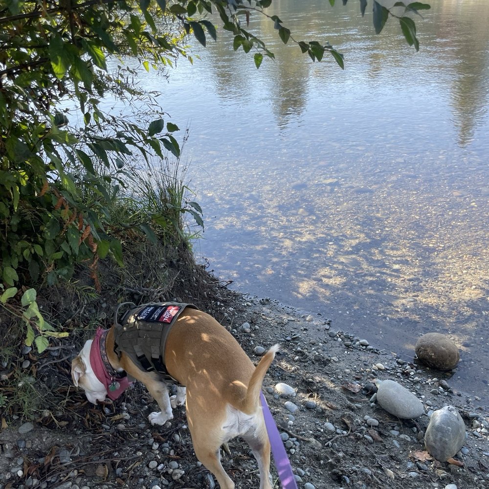 River Bend Park - Parks Near Me - Rancho Cordova, California River Bend Park - Parks Near Me - Rancho Cordova, California