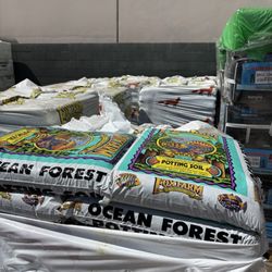 Fei Fei Hydroponics - Ocean Forest Soil always available for low price