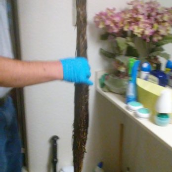 Integrity Plumbing - He knew right away how to deal with this snake ..lol - Plumbing Near Me - Fairfield, California