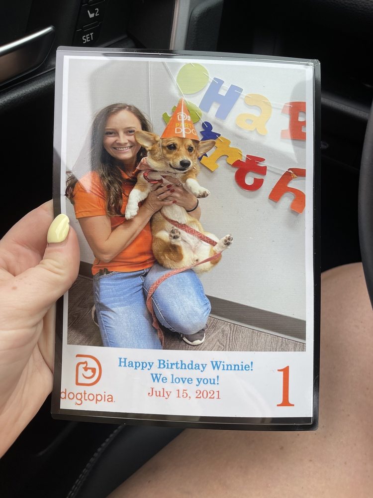 DOGTOPIA 55 Photos & 14 Reviews 463 Fm 1488, Conroe, Texas Pet