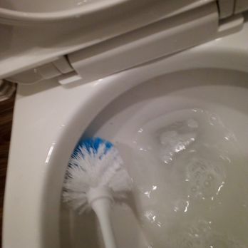 Dust Buster Cleaning Services - Cleaning Toilet Bowl. - Home Cleaning Near Me Dust Buster Cleaning Services - Cleaning Toilet Bowl. - Home Cleaning Near Me