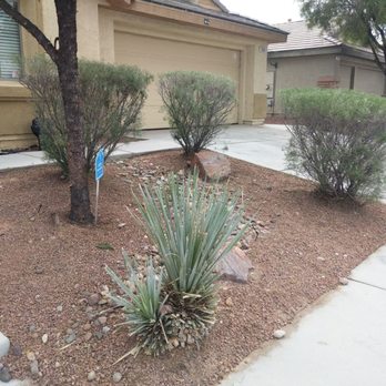 Transformers Landscaping - Landscaping Near Me - Las Vegas, Nevada Transformers Landscaping - Landscaping Near Me - Las Vegas, Nevada