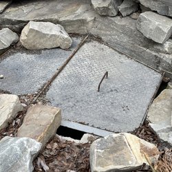 James Hunter Park - A CLOSER PHOTO OF THE HATCH!