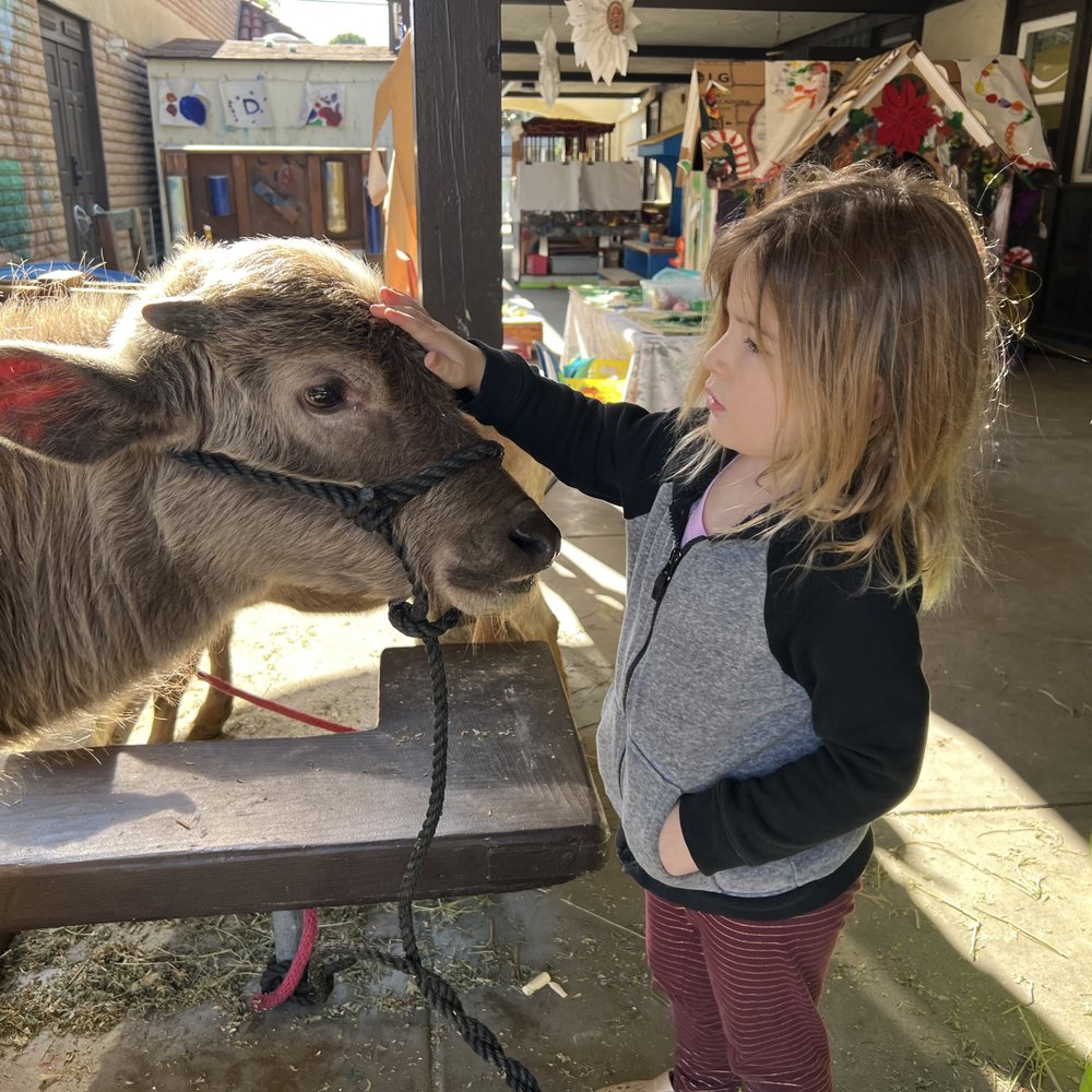Tustin Community Preschool - petting zoo visit 1 of 2 - Preschools Near Me - Tustin, California Tustin Community Preschool - petting zoo visit 1 of 2 - Preschools Near Me - Tustin, California