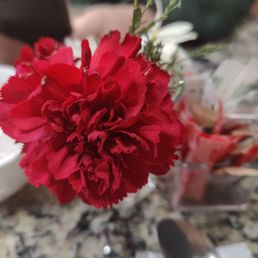 Fresh cut flowers