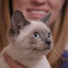 Animal Hospital of San Antonio gift card