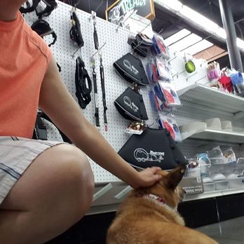 Carter's Pet Market - Dog is ignoring me today - Pet Groomers Near Me - Houston, Texas Carter's Pet Market - Dog is ignoring me today - Pet Groomers Near Me - Houston, Texas