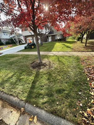 Spring Clean-Up - Spring Clean-Up Spring Clean-Up - Spring Clean-Up