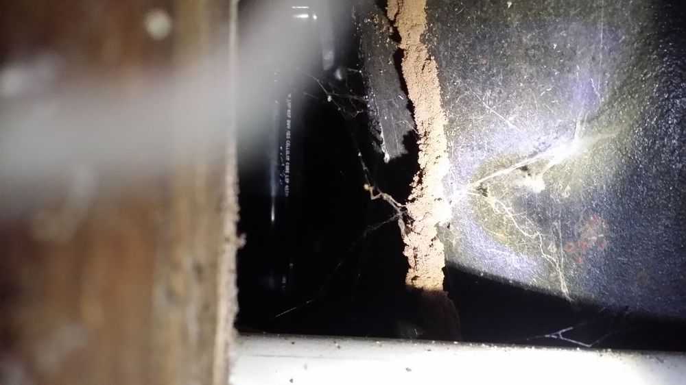 COMPLETE TERMITE MAN Updated September 2024 Elk Grove, California Pest Control Phone