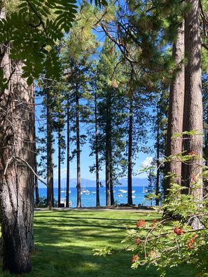 Tallac Historic Site by null