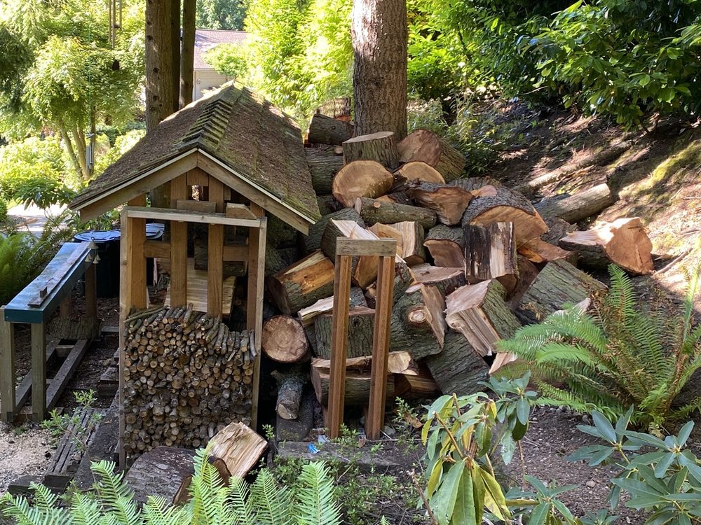 New Horizons Total Landscaping and Tree Service - tree service in Seattle, WA