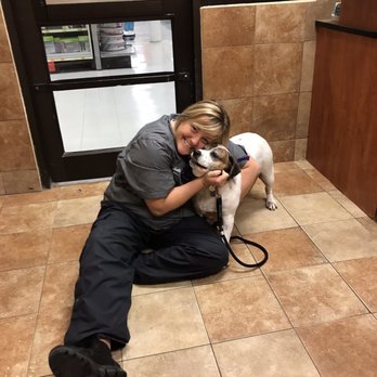 PetSmart - Pet Training Near Me - Orlando, Florida PetSmart - Pet Training Near Me - Orlando, Florida