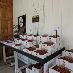 Schuh Farms - Strawberries