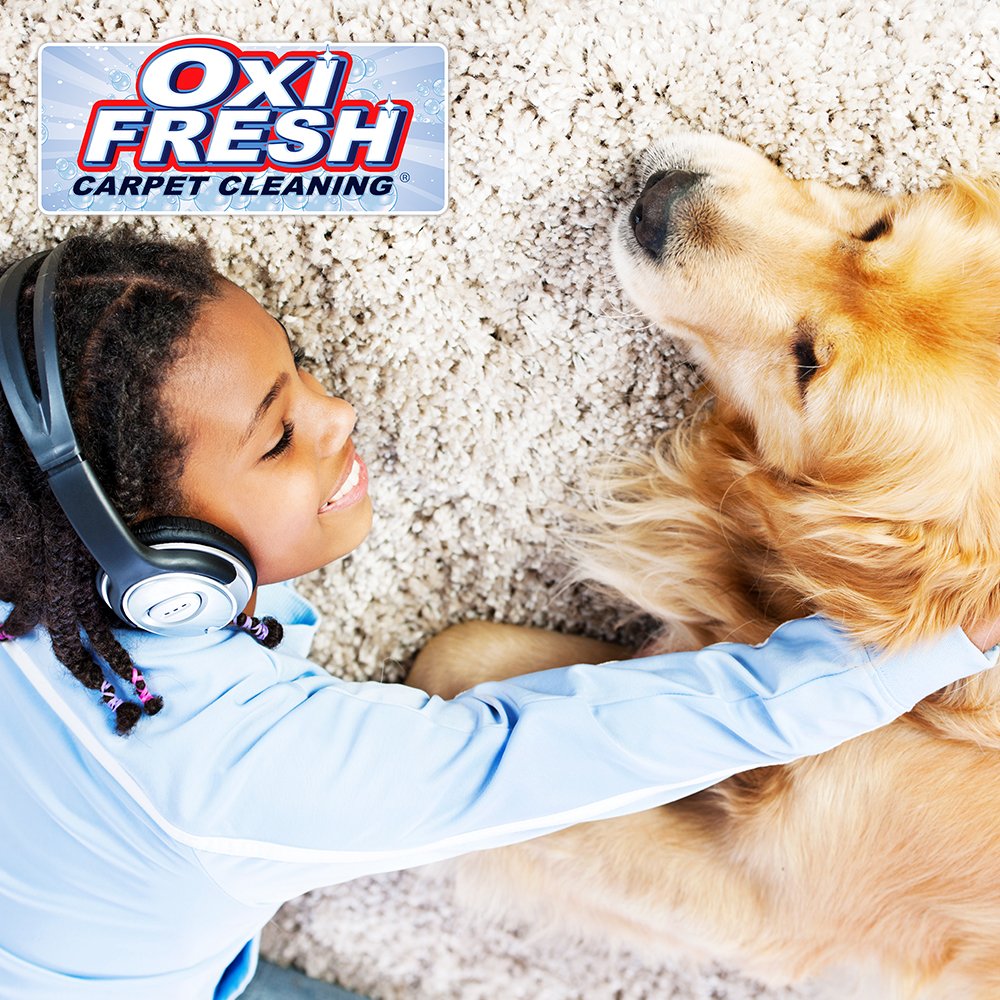 OXI FRESH CARPET CLEANING Request a Quote 39 Photos Prospect, KY