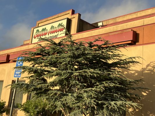 Bella Italia by null