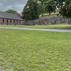 Kontraskjæret