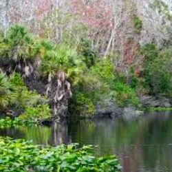 Lower Wekiva River Preserve State Park