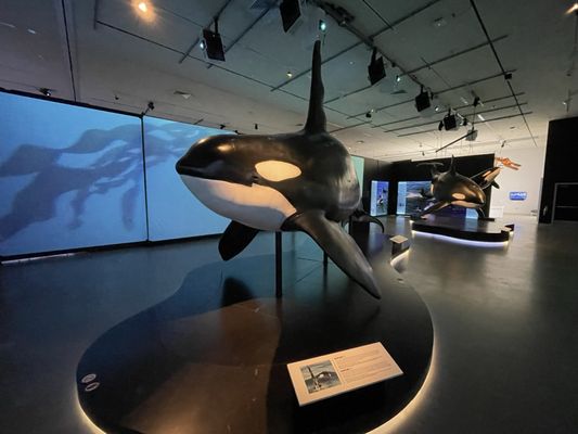 Natural History Museum of Utah by null