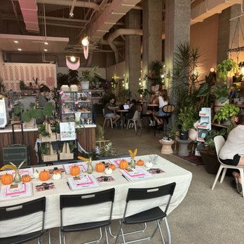 The Greenhouse Bar - Shot of the interior - Coffee & Tea Near Me - Jacksonville, Florida The Greenhouse Bar - Shot of the interior - Coffee & Tea Near Me - Jacksonville, Florida