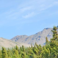Denali National Park
