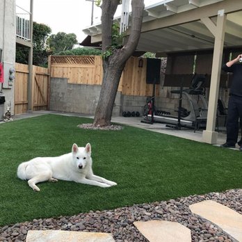 US Turf - Sheila loves her new turf! - Artificial Turf Near Me - San Diego, California